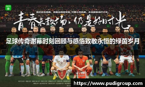 足球传奇谢幕时刻回顾与感悟致敬永恒的绿茵岁月